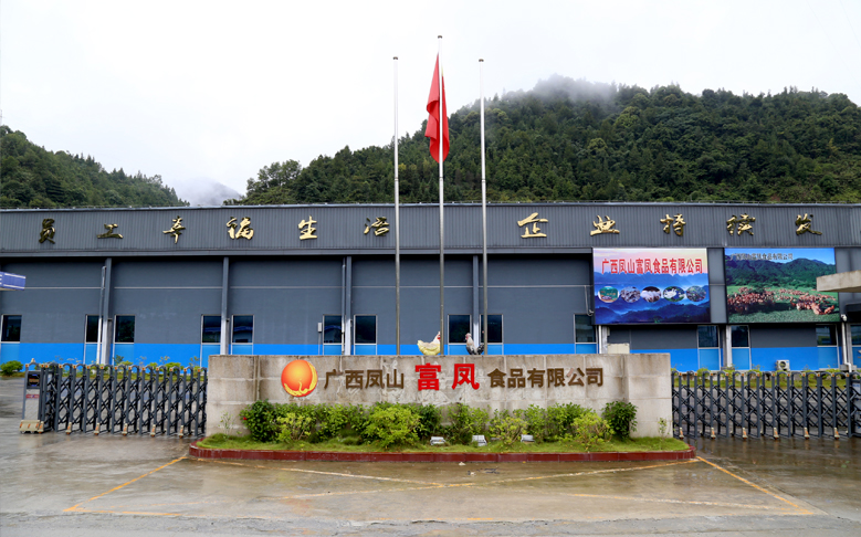 广西凤山草莓视频下载链接食品有限公司